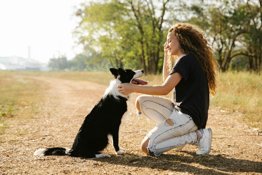 A dog trainer in St. Augustine, FL helping a border collie learn to sit