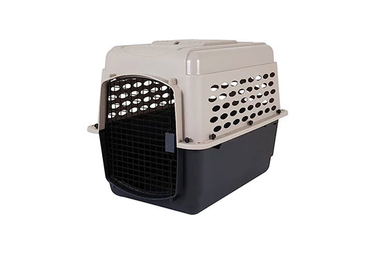 A dog training kennel for the services we provide in St. Augustine, FL