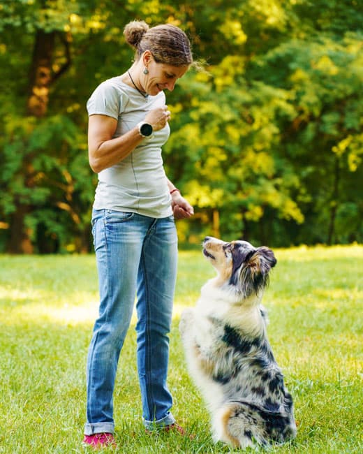 A woman, sharing treats with a well-behaved dog that has been trained well by Sit Happens, St. Augustine.