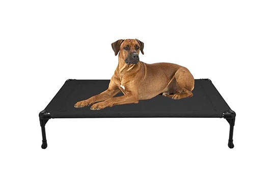 A raised dog training bed for the services we provide in St. Augustine, FL