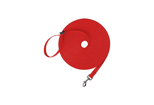 A dog training leash for the services we provide in St. Augustine, FL