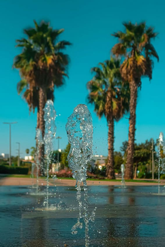 A lovely dog park for dog training in St. Augustine