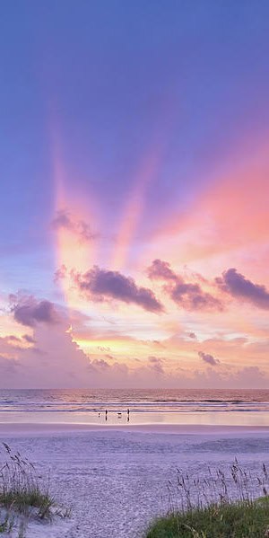Beautiful beach at sunset, ideal for dog training in Butler Beach, FL.